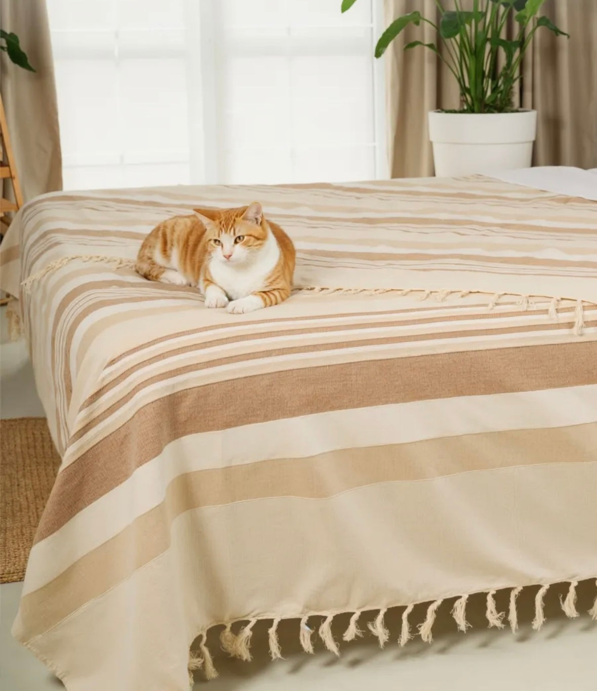 Beige & Brown Striped Handloom Bedcover