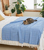 Sky Blue Checked Handloom Bedcover